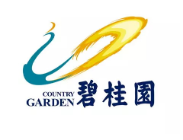 新华镇碧桂园地产